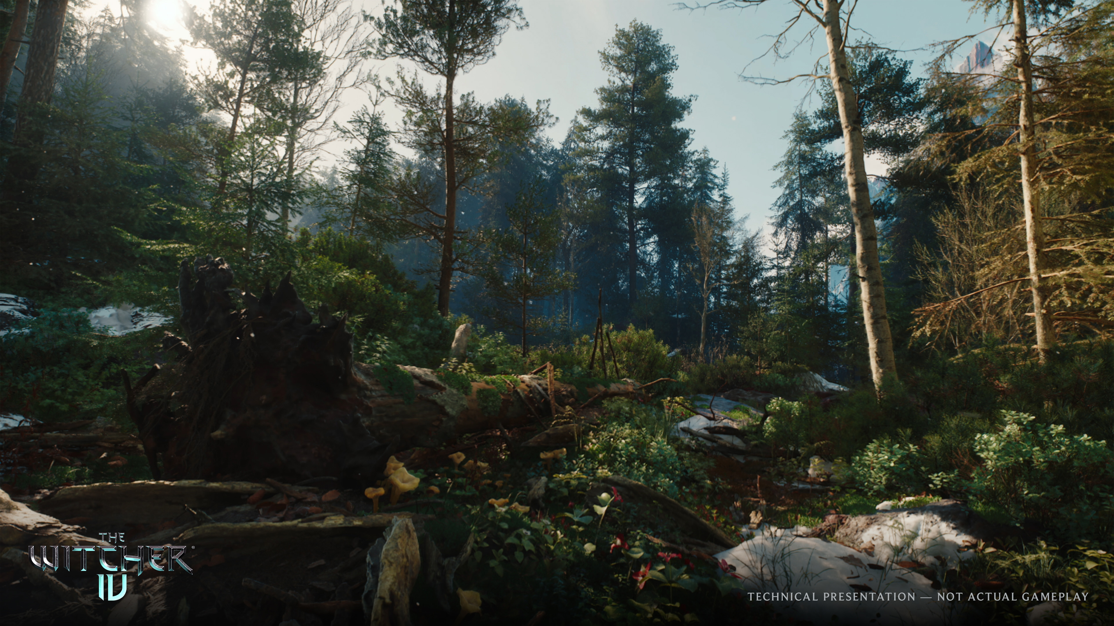 The Witcher IV