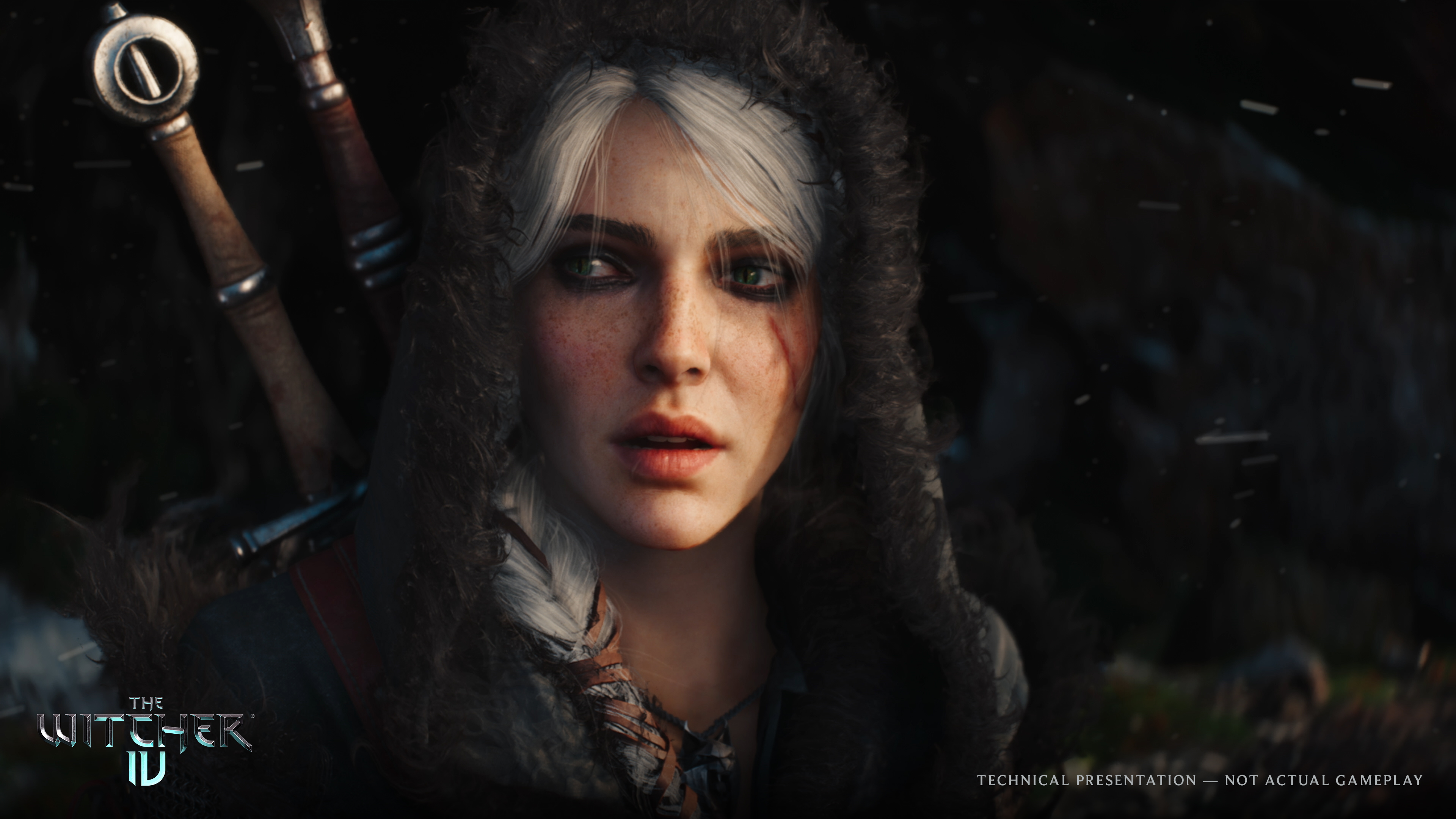 The Witcher IV