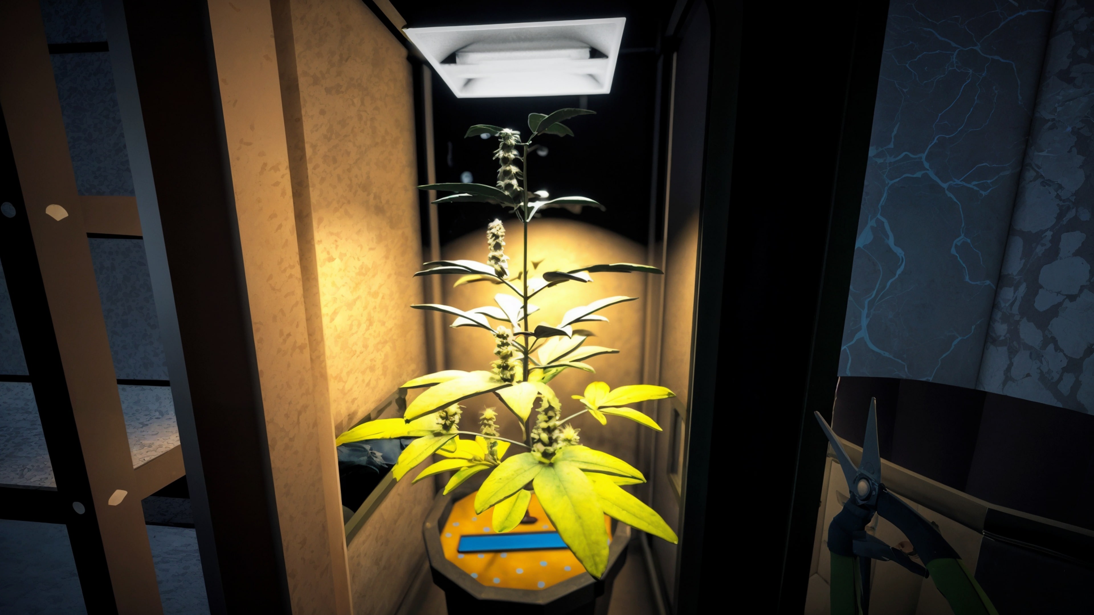 Weed Syndicate Empire