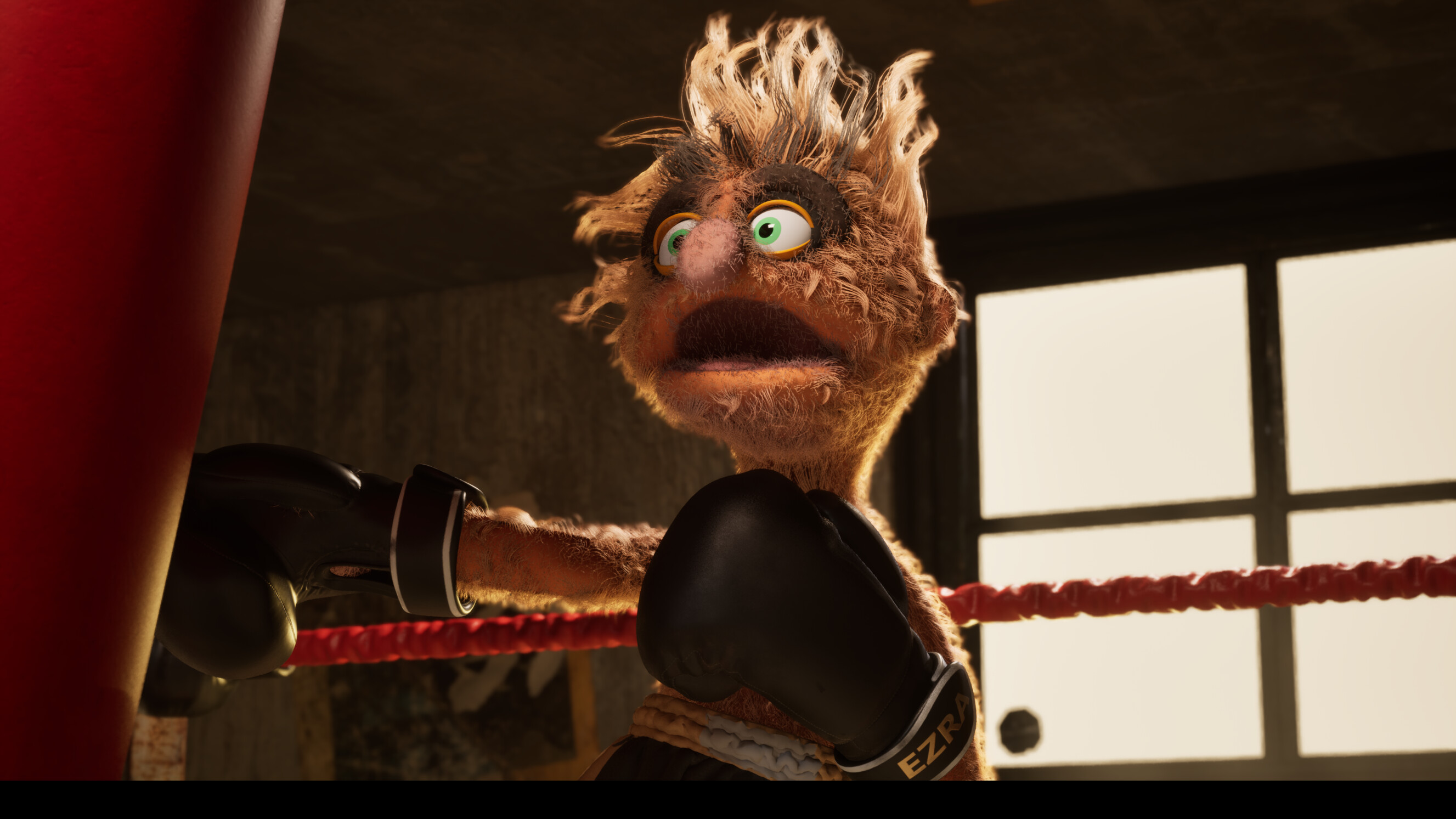Felt That: Boxing