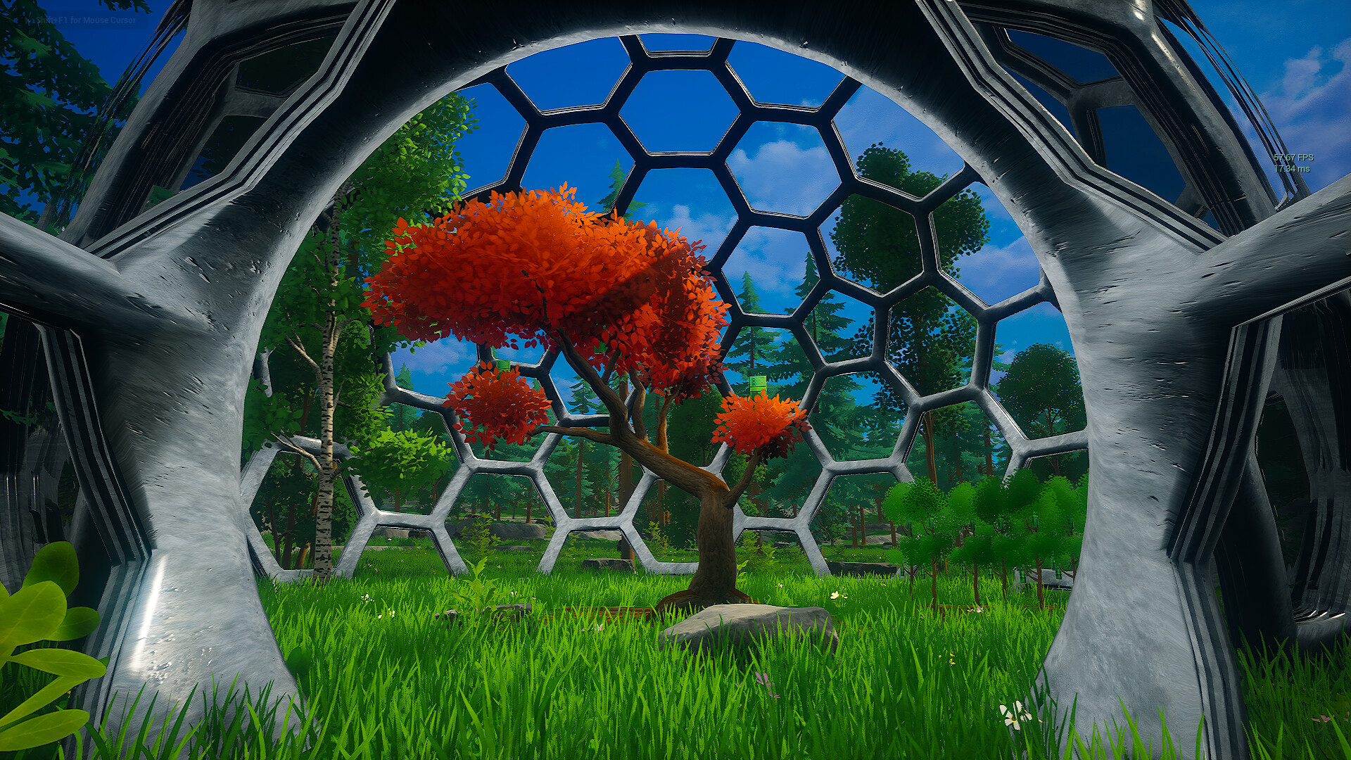 My Money Grows On Trees