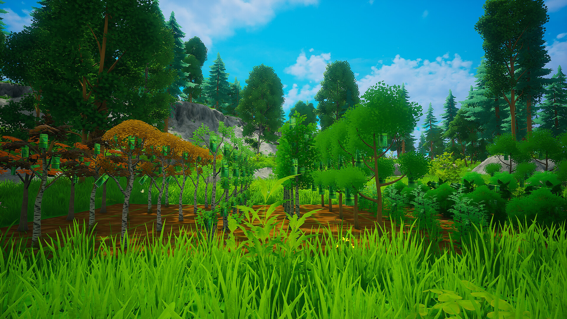 My Money Grows On Trees