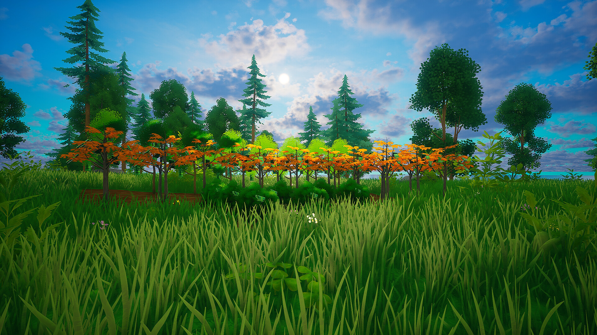 My Money Grows On Trees