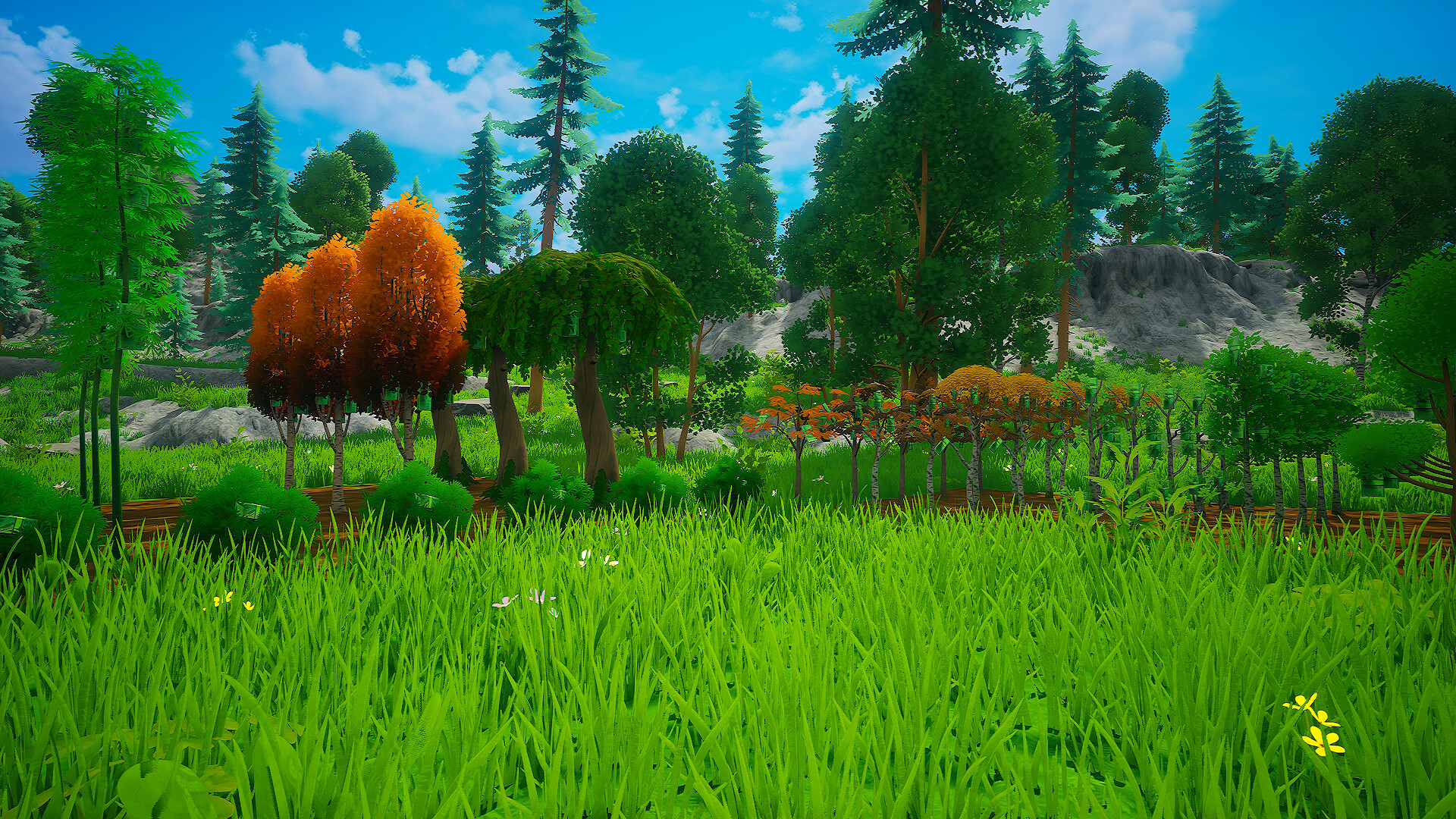 My Money Grows On Trees