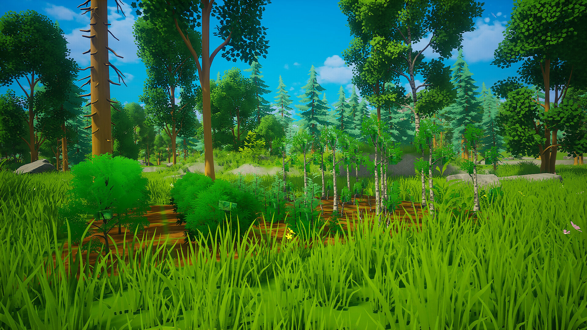 My Money Grows On Trees