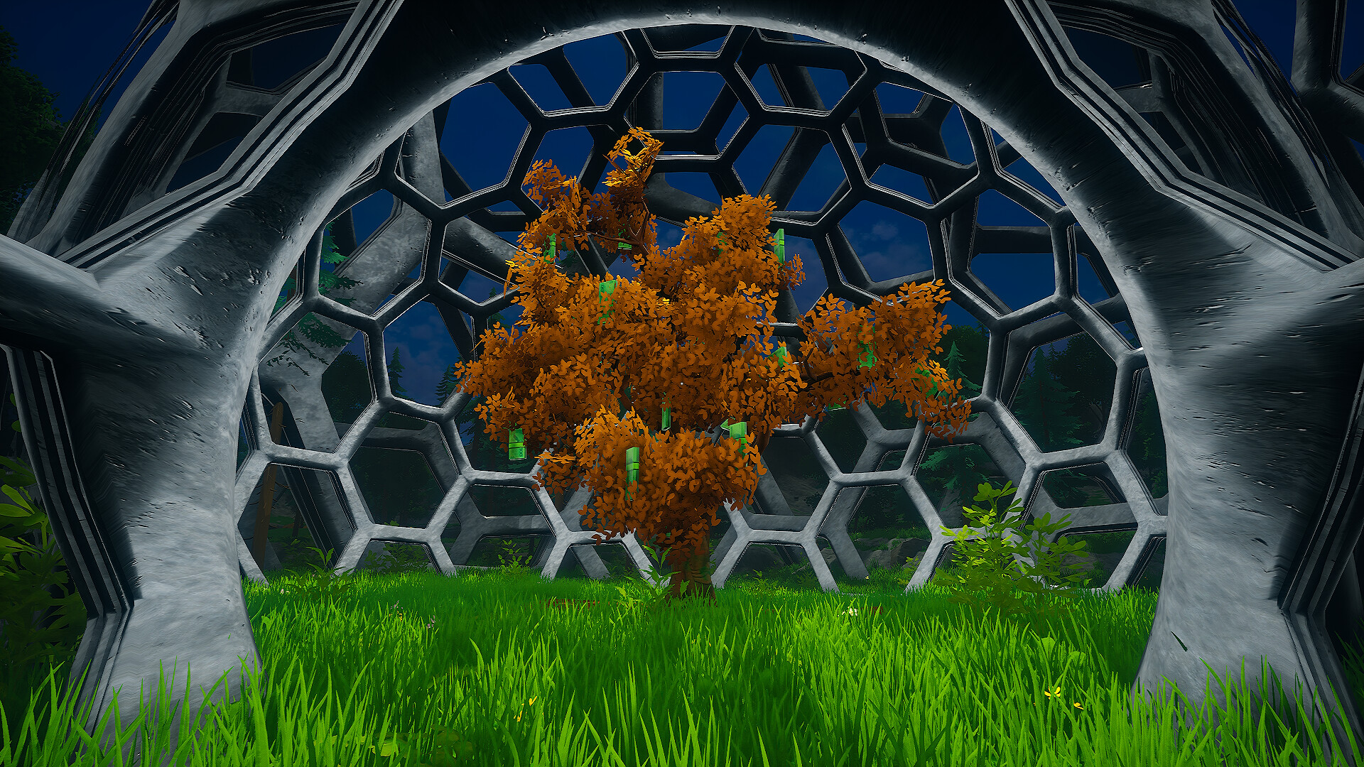 My Money Grows On Trees