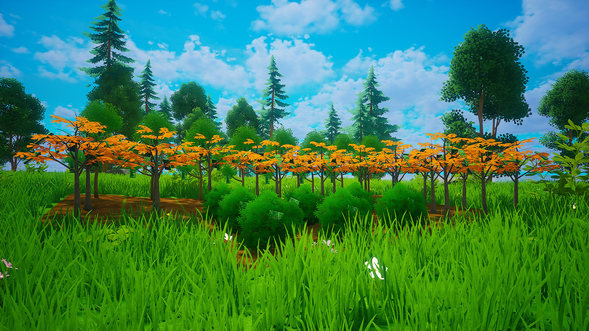 My Money Grows On Trees