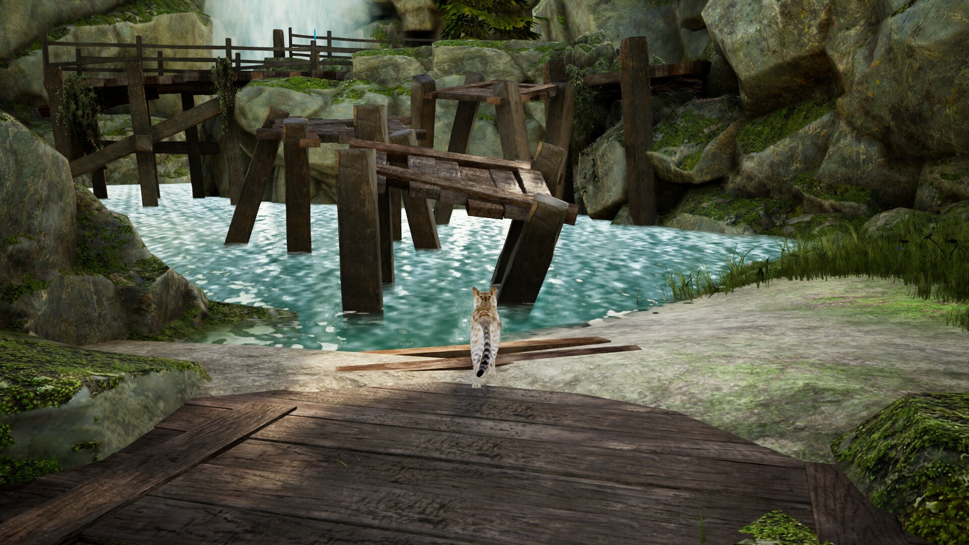 Curiosity