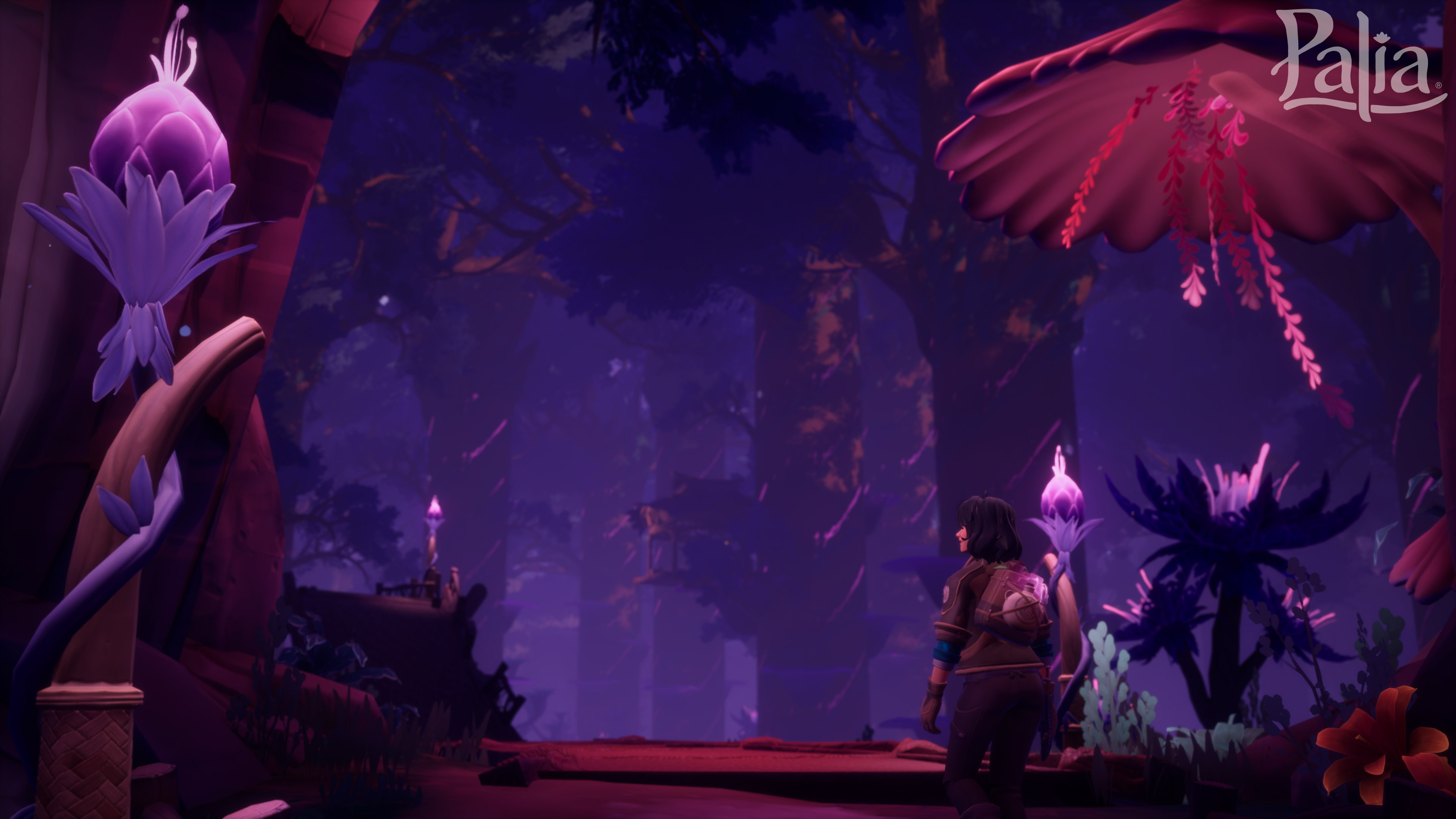 Palia: The Elderwood