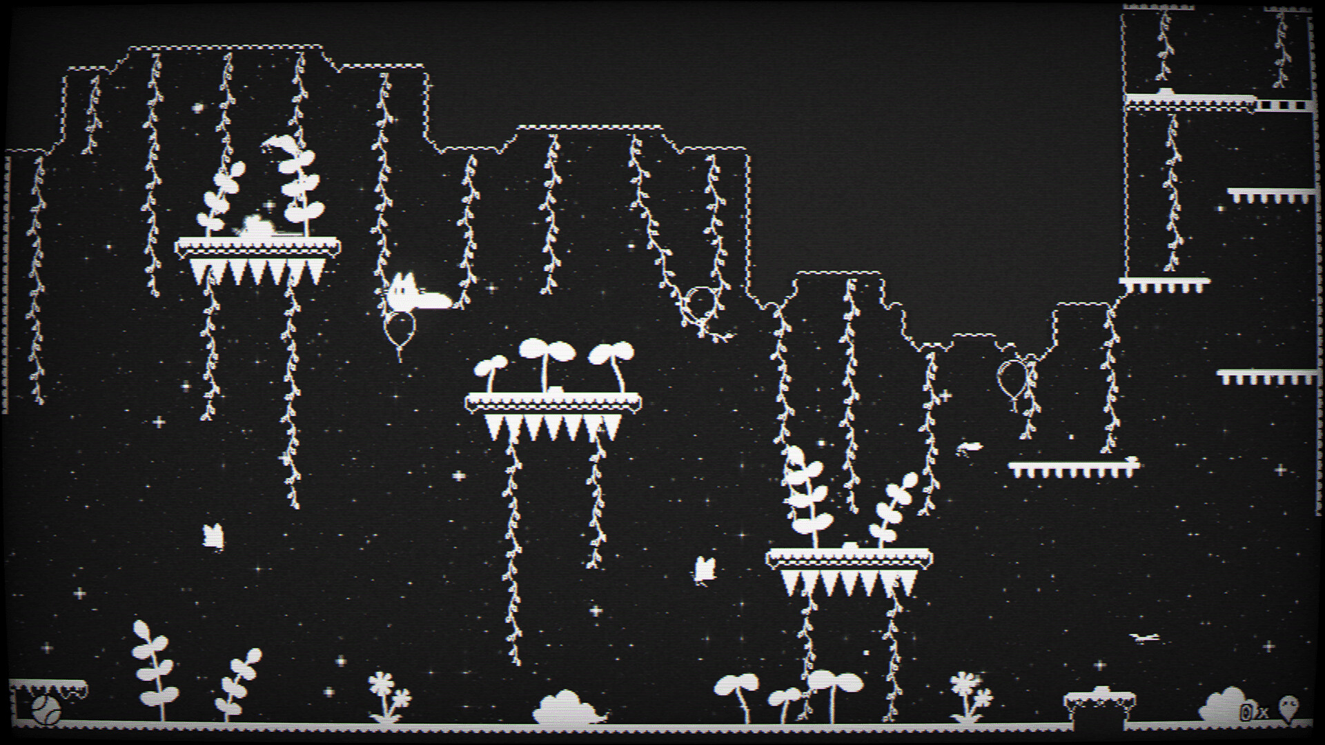 Cats Catching Mice: The Black and White World