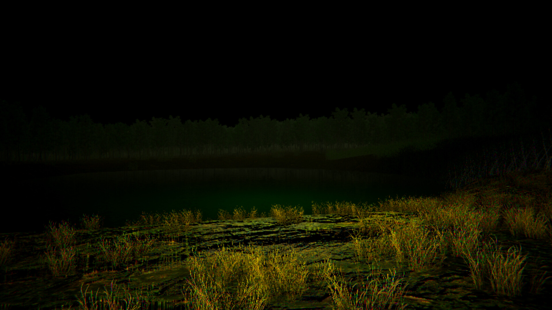 Aokigahara: The Death Forest