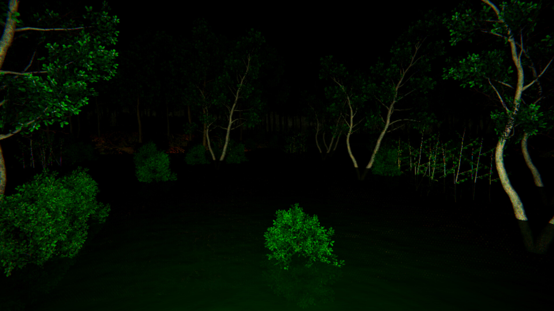 Aokigahara: The Death Forest