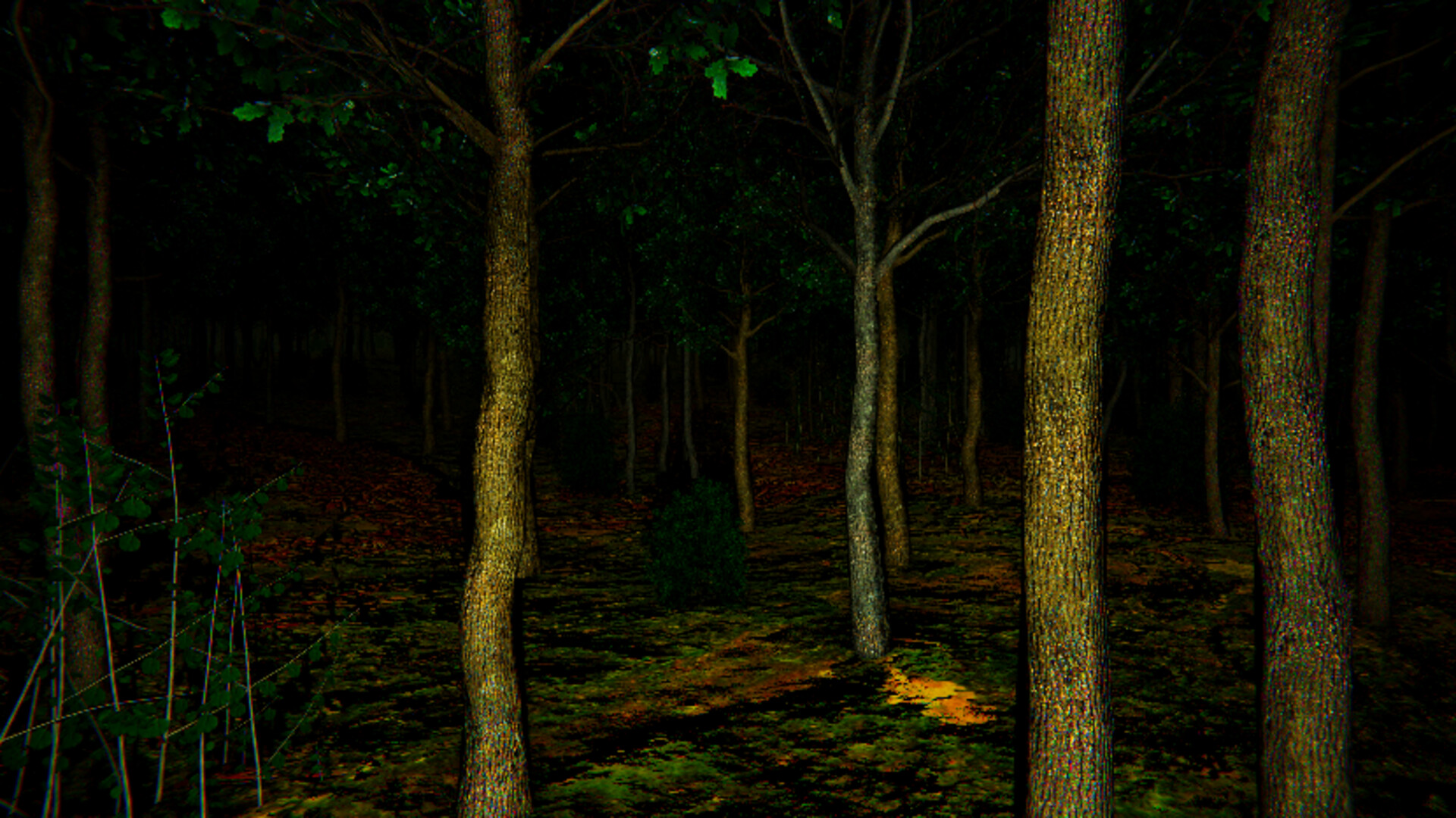 Aokigahara: The Death Forest