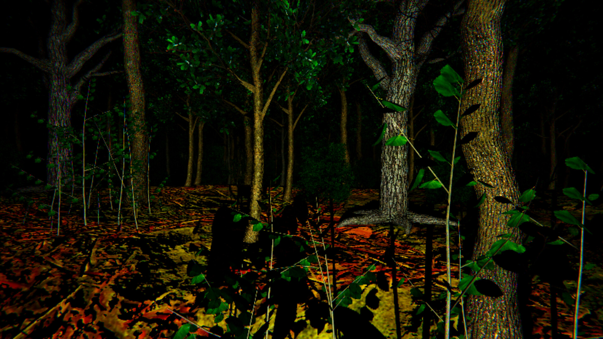 Aokigahara: The Death Forest