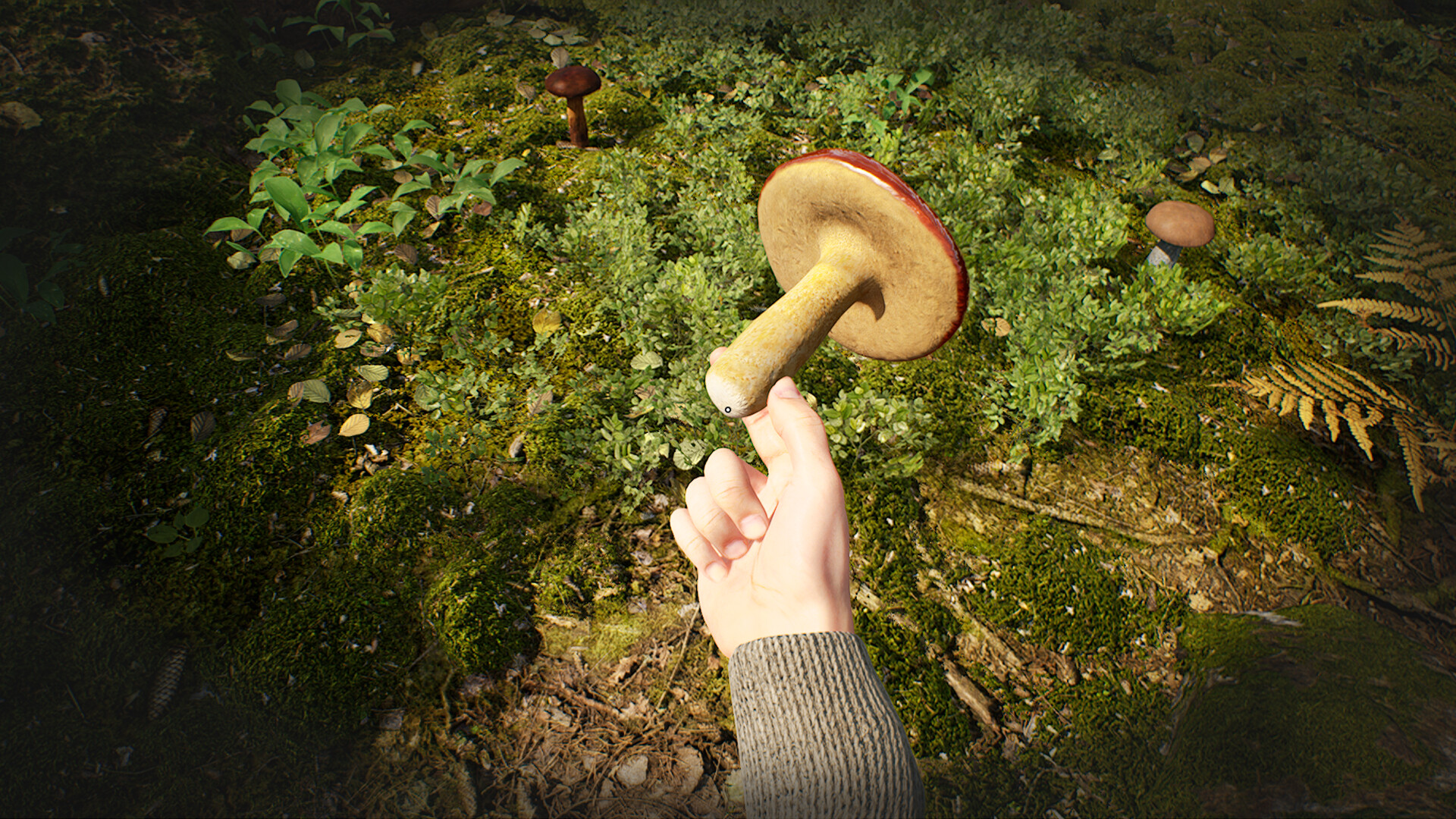 Mushroom Hunter Simulator