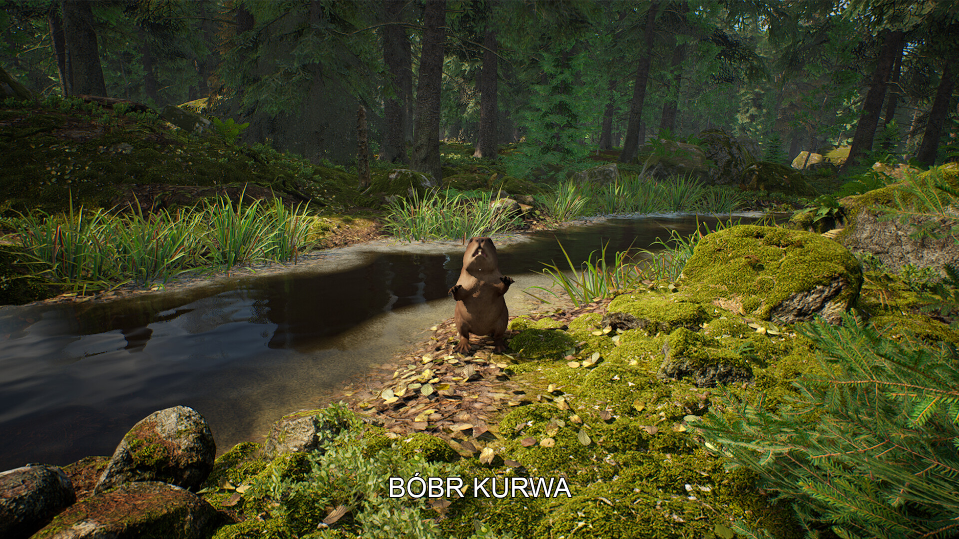 Mushroom Hunter Simulator