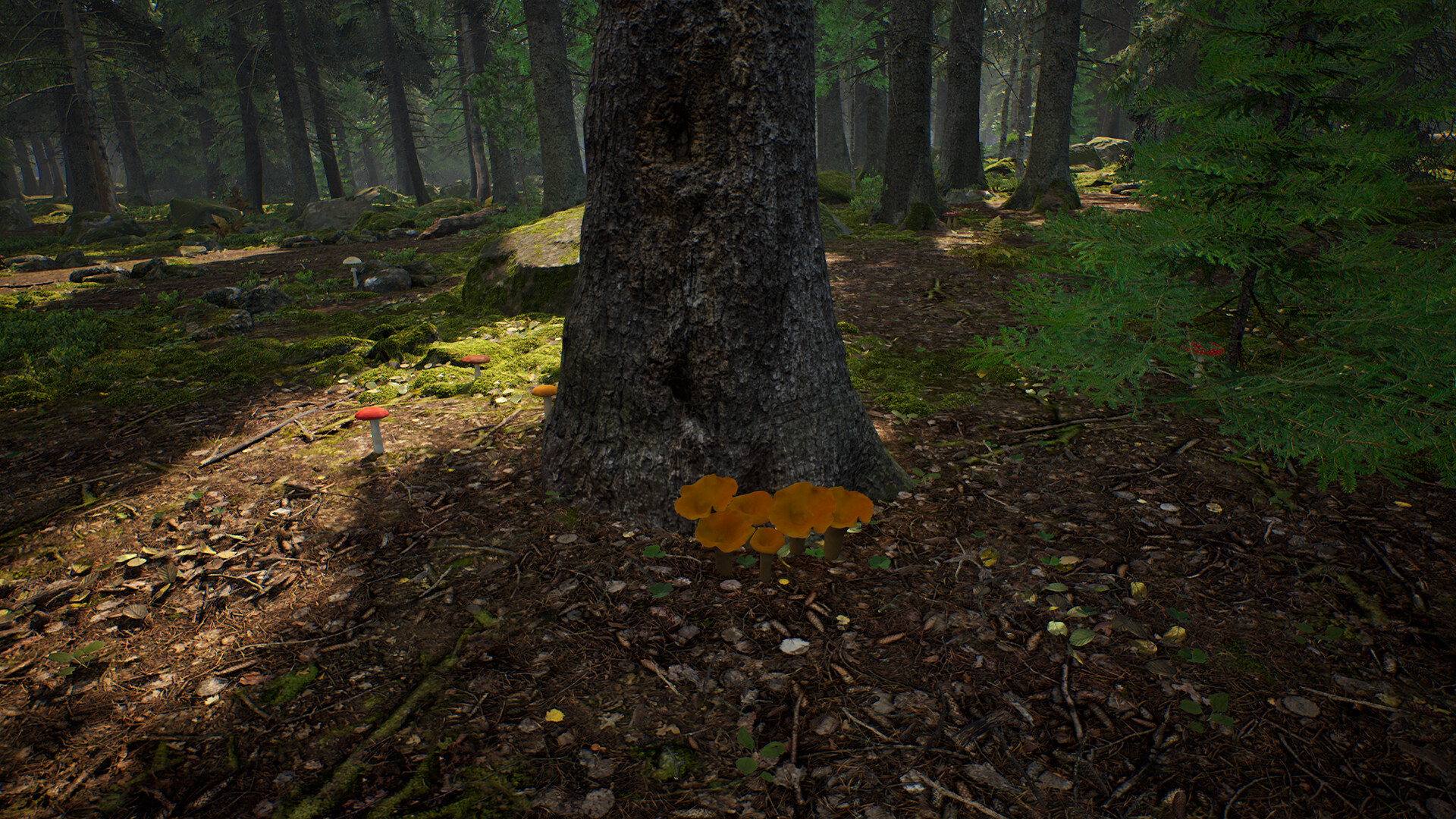 Mushroom Hunter Simulator