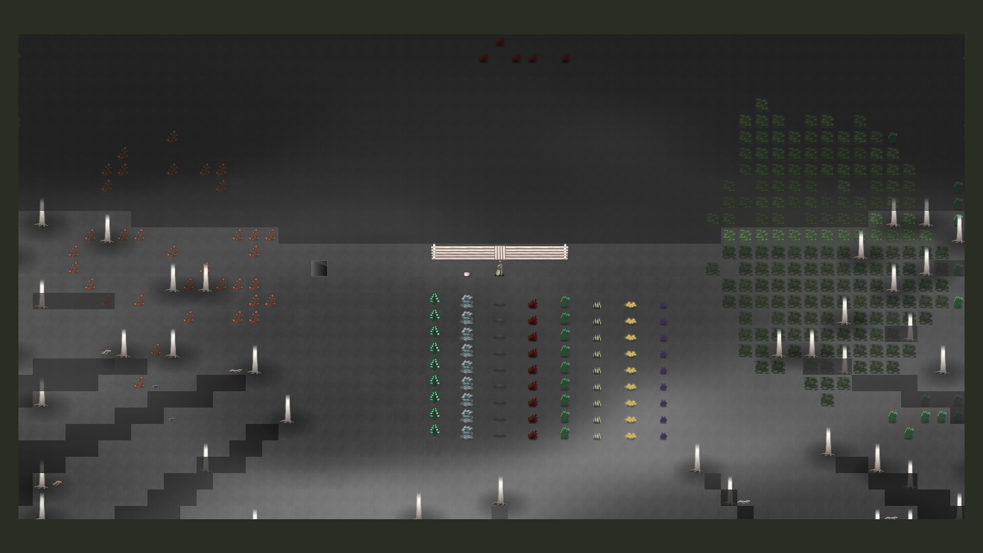 Convalescent Codex: An Alchemist’s Story