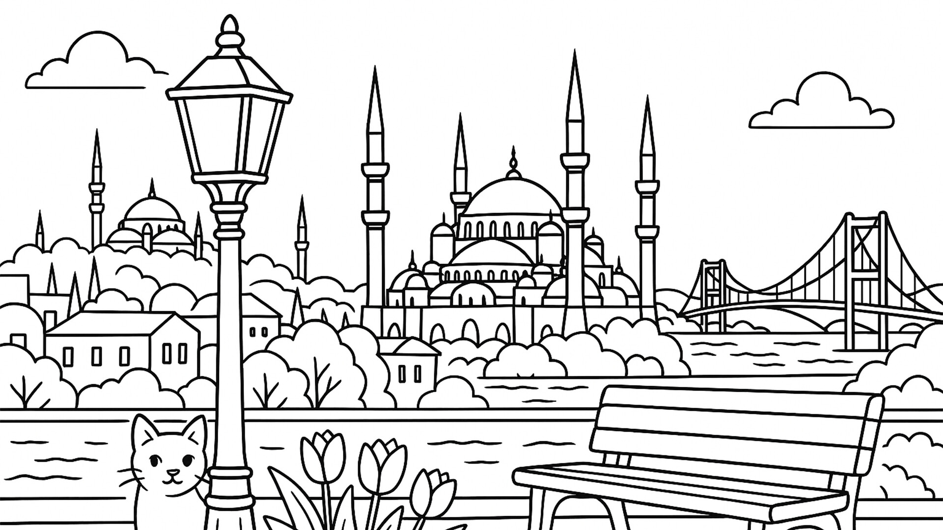 100 Cats Lost in Turkey