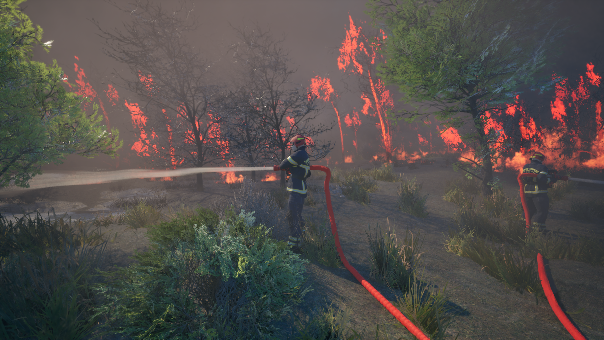 Rescue Ops: Wildfire