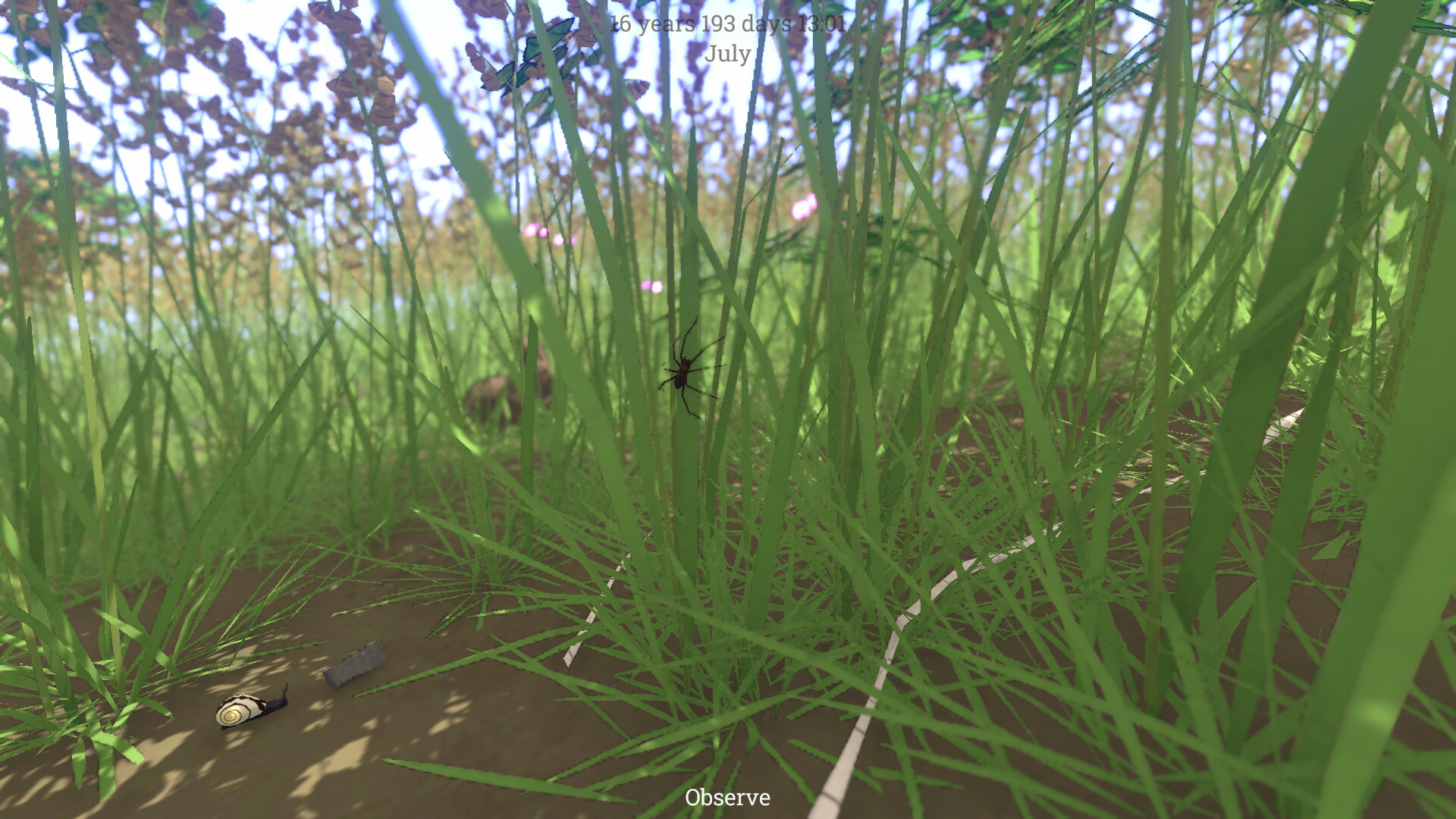 Grow Wild