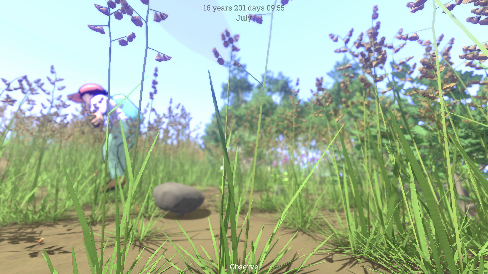 Grow Wild