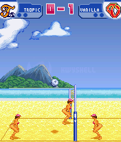 Leisure Suit Larry: Bikini Beach Volleyball
