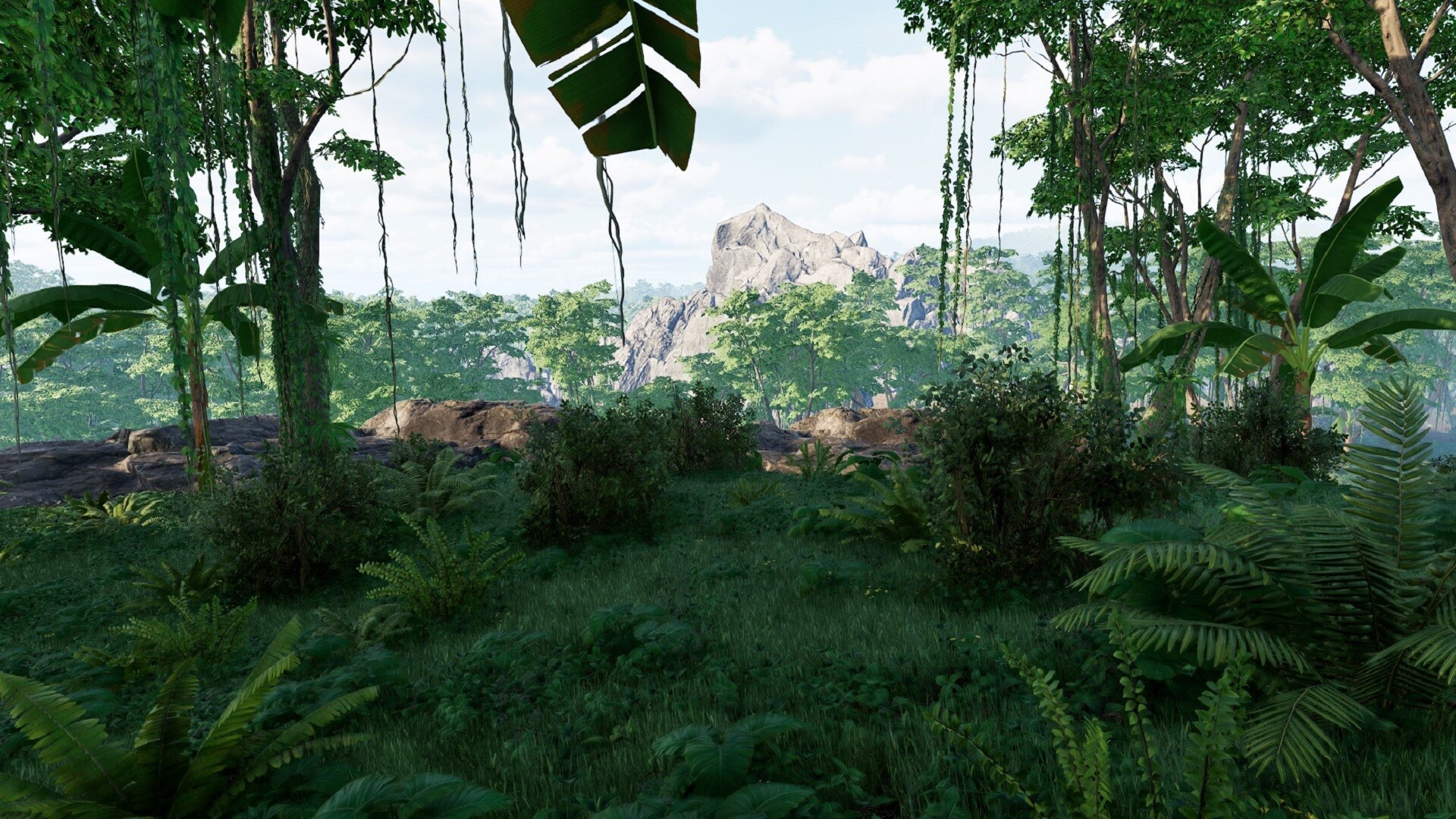 Mesorift Survival