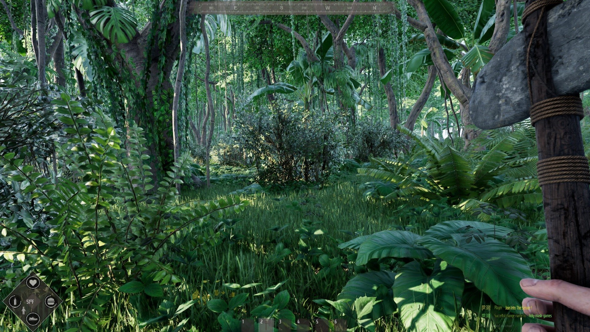 Mesorift Survival