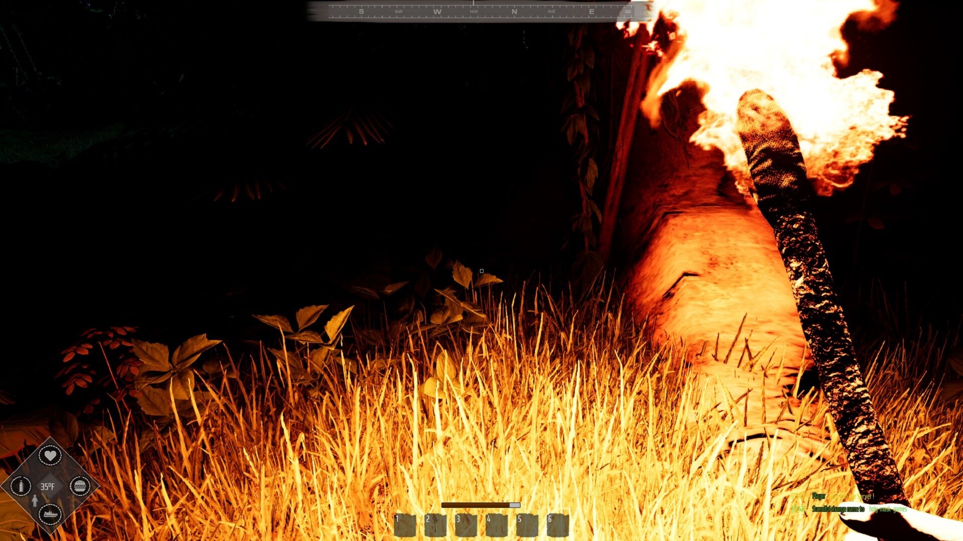 Mesorift Survival