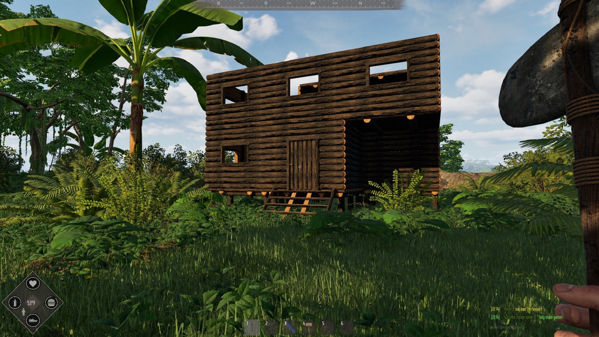 Mesorift Survival