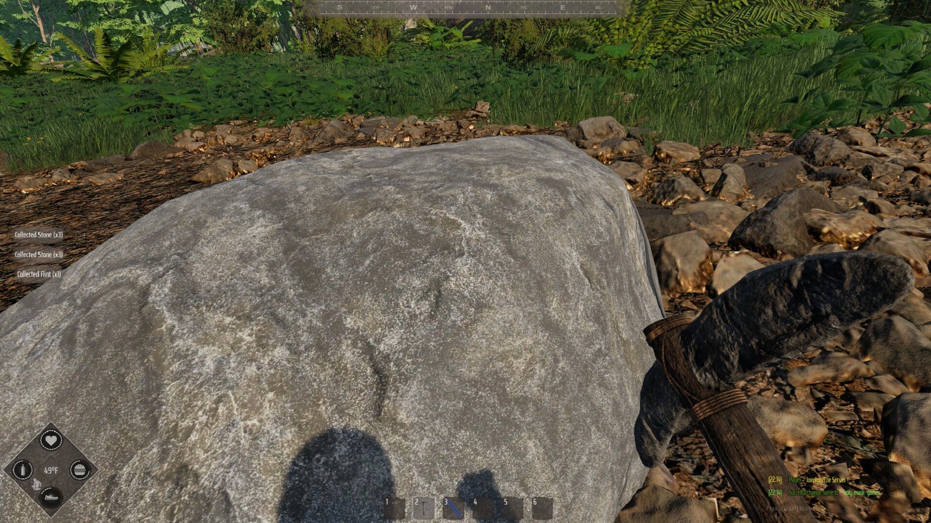 Mesorift Survival