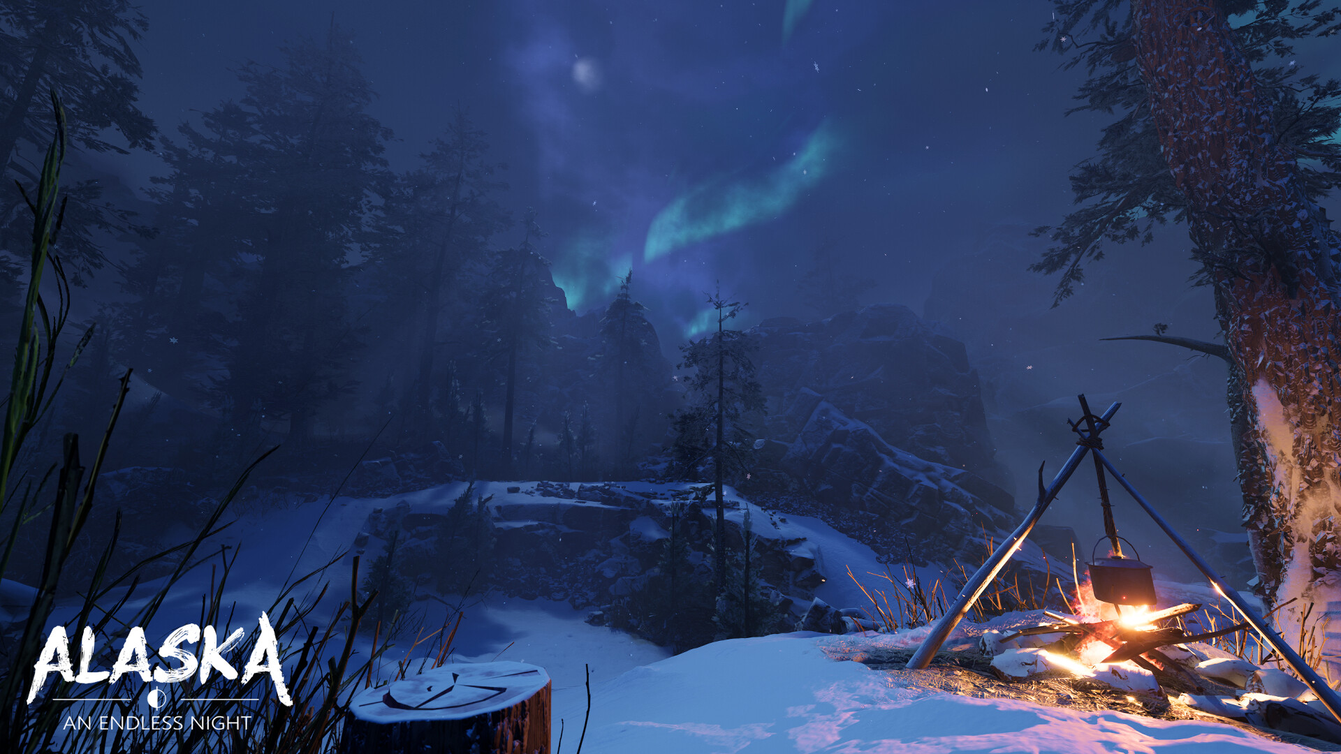 Alaska: An Endless Night