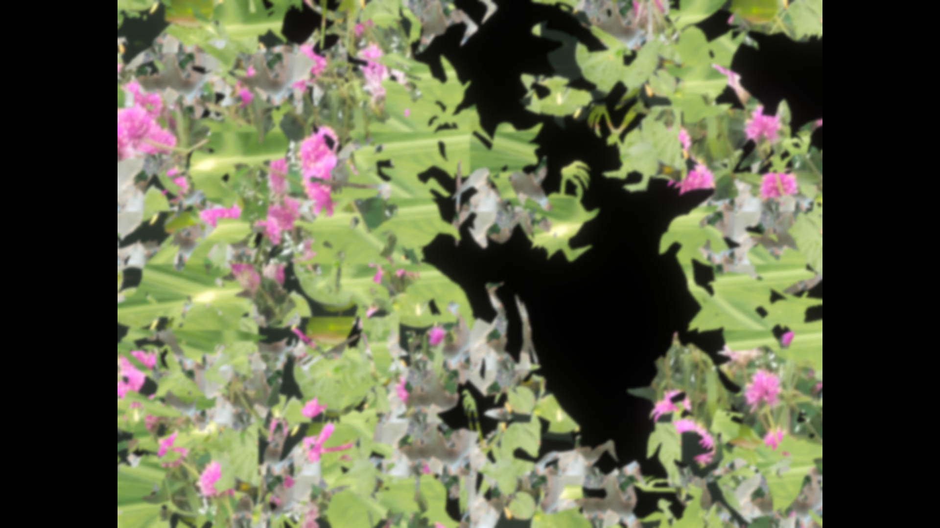 Floral Gutter