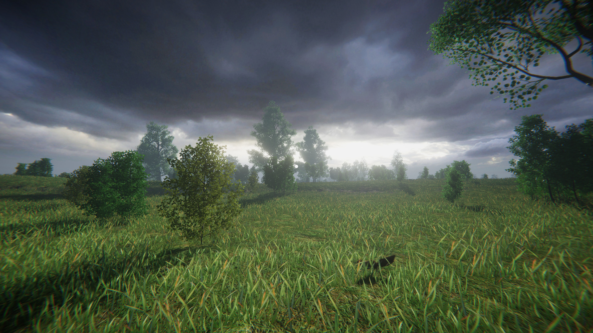 Simulyator Odinochestva V Russkoy Derevne