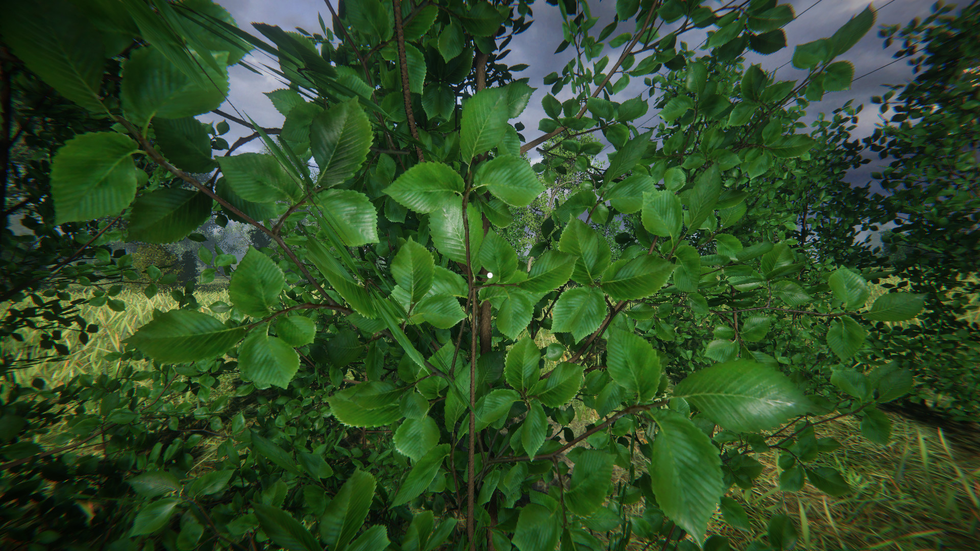 Simulyator Odinochestva V Russkoy Derevne