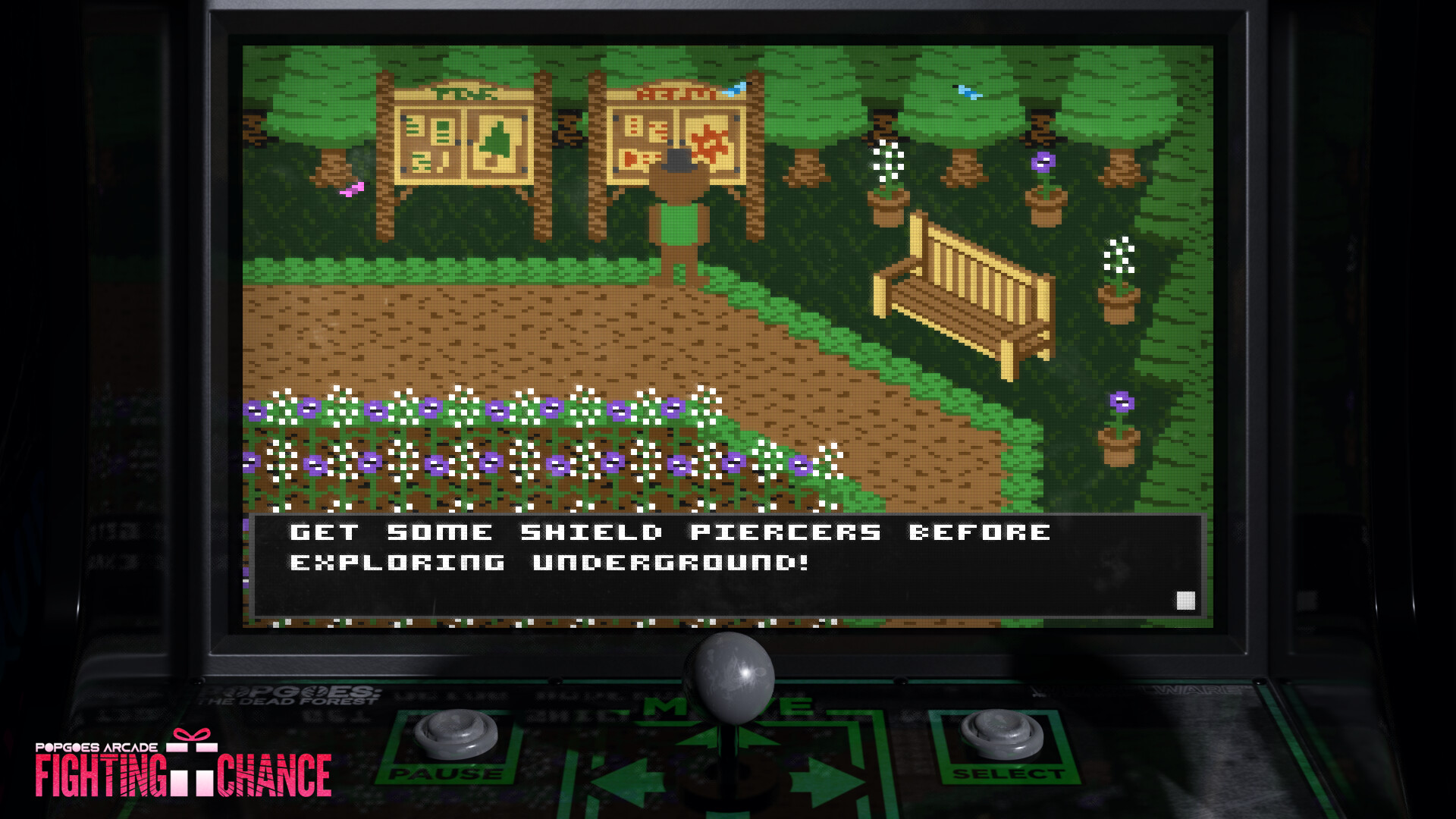 Popgoes Arcade: Fighting Chance