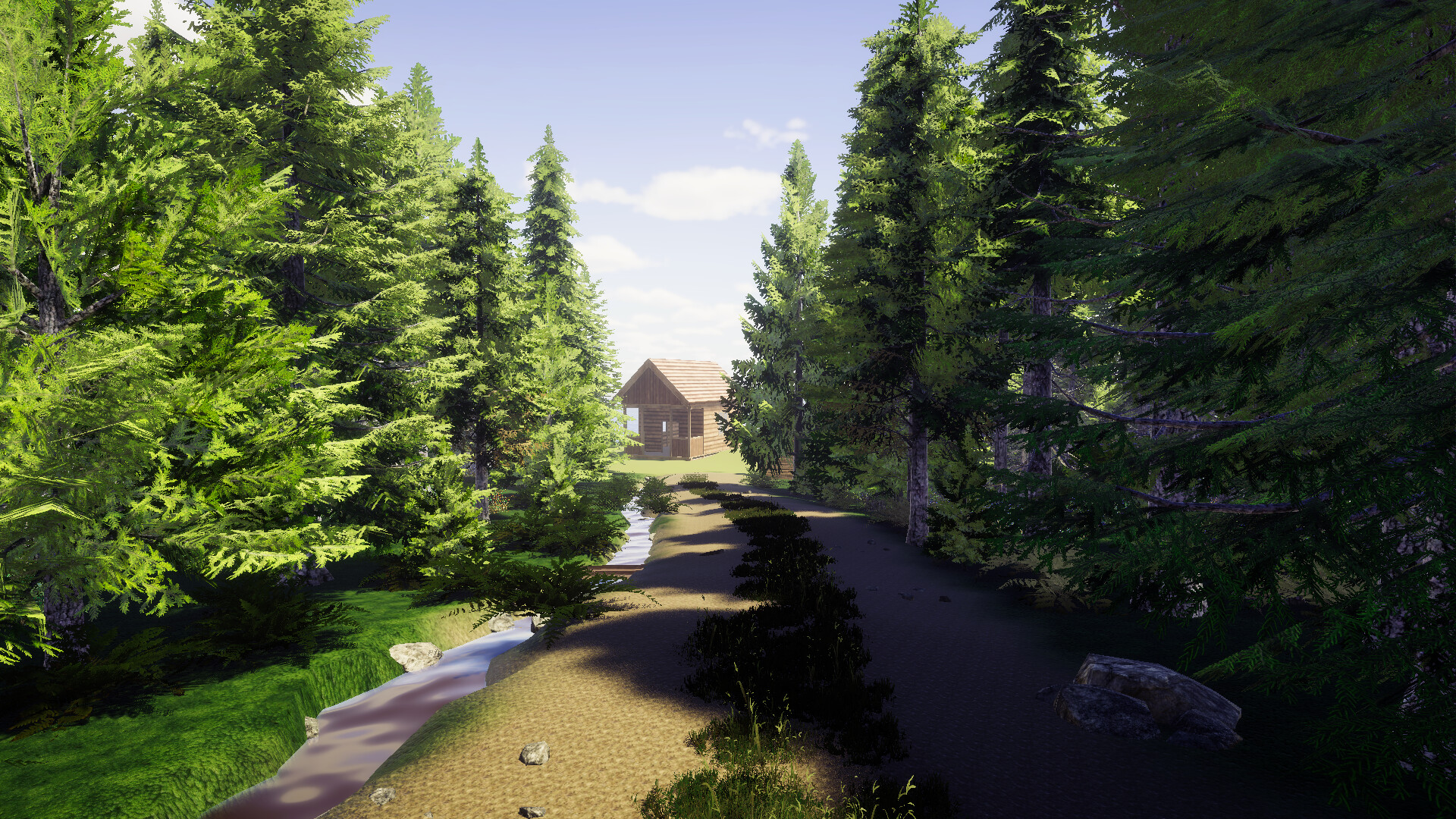 Finnish Forest