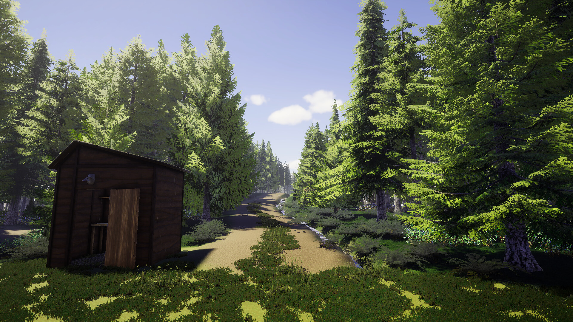 Finnish Forest