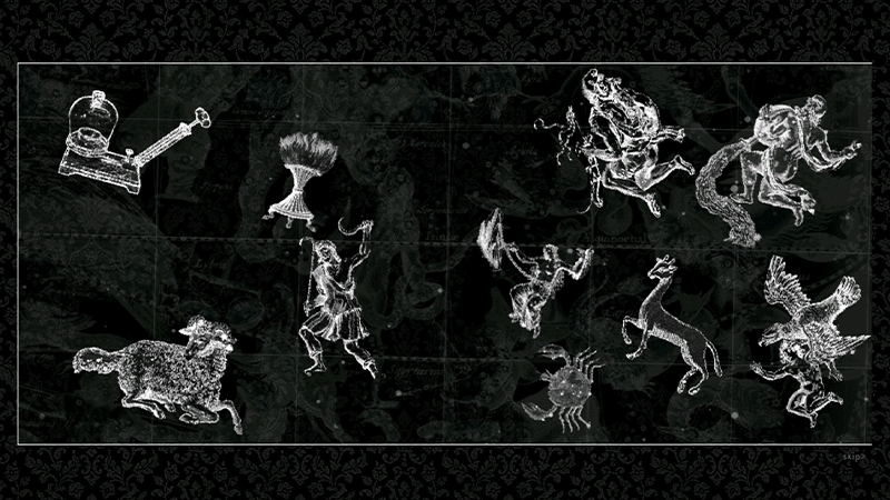 88 Constellations for Wittgenstein