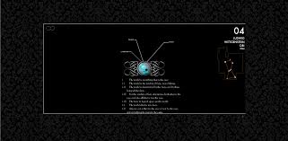 88 Constellations for Wittgenstein