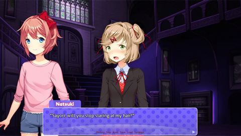 We are the Literature Club