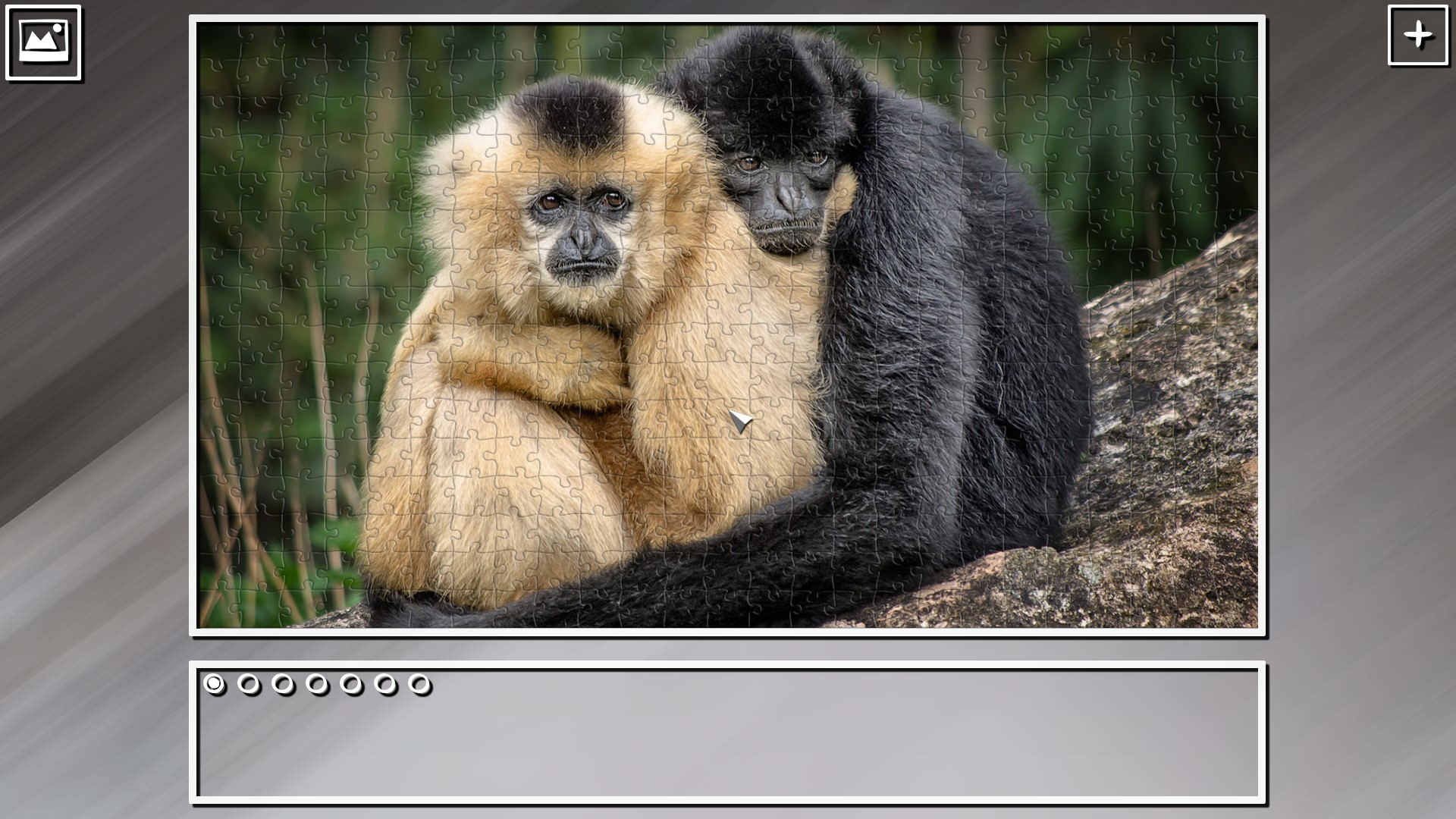 Super Jigsaw Puzzle: Generations – Monkeys &amp; Apes Puzzles