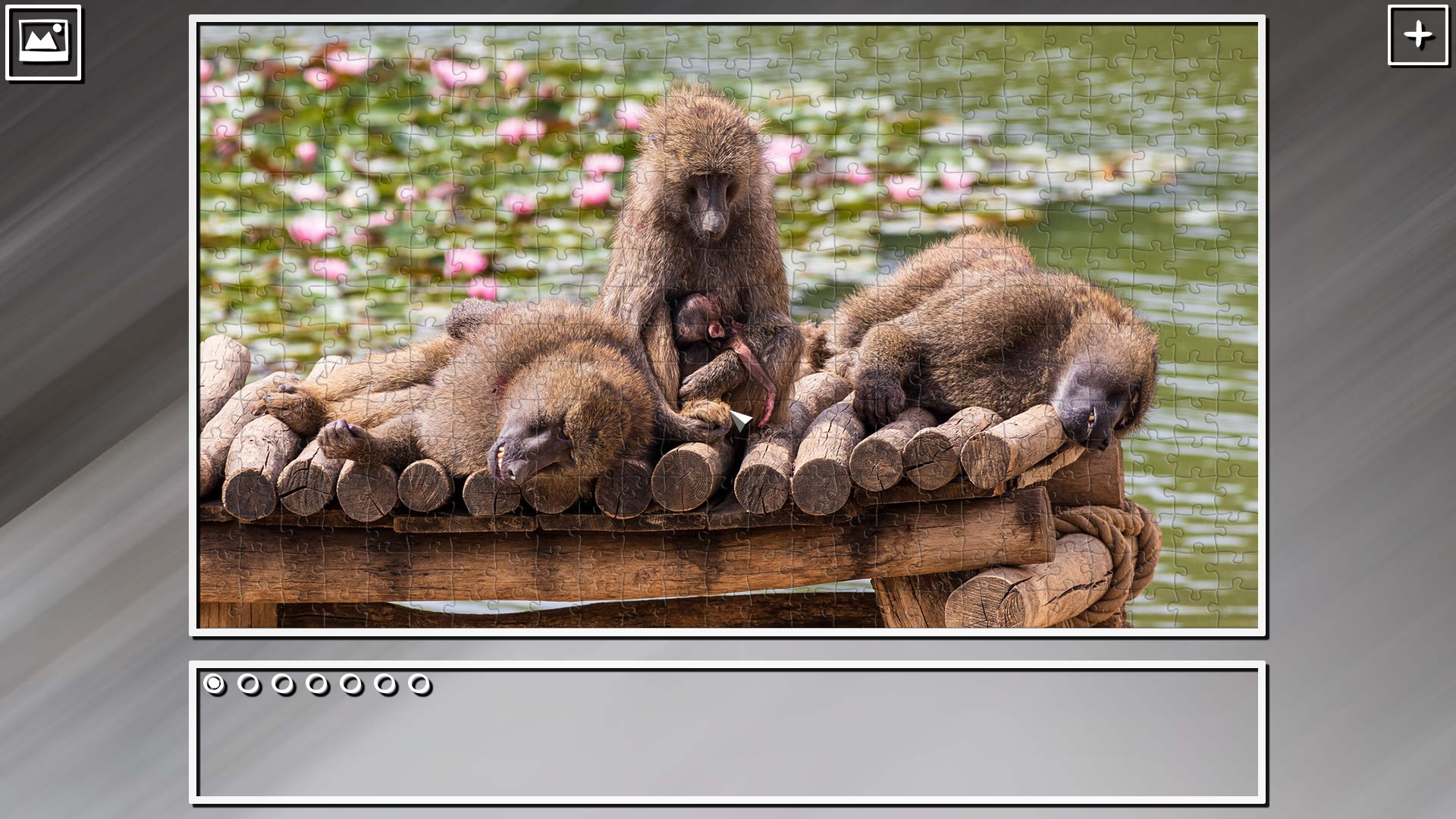 Super Jigsaw Puzzle: Generations – Monkeys &amp; Apes Puzzles