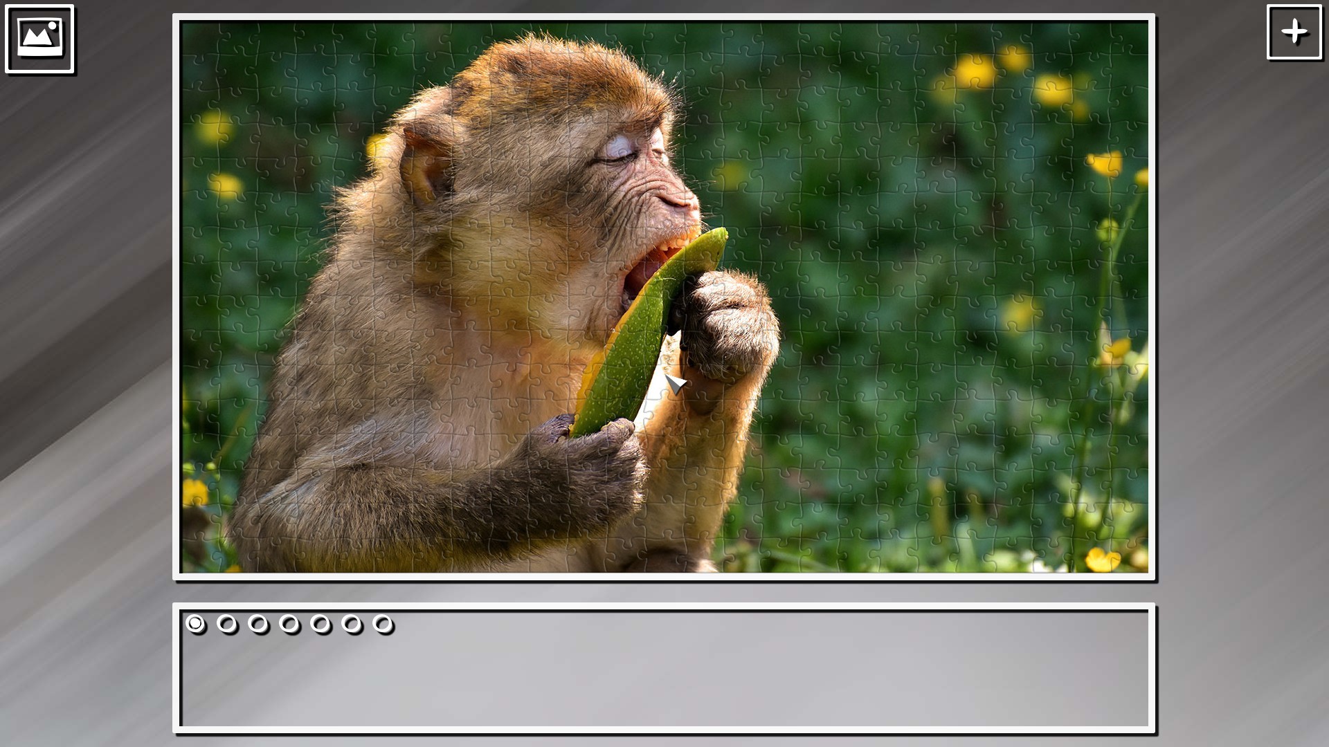 Super Jigsaw Puzzle: Generations – Monkeys &amp; Apes Puzzles