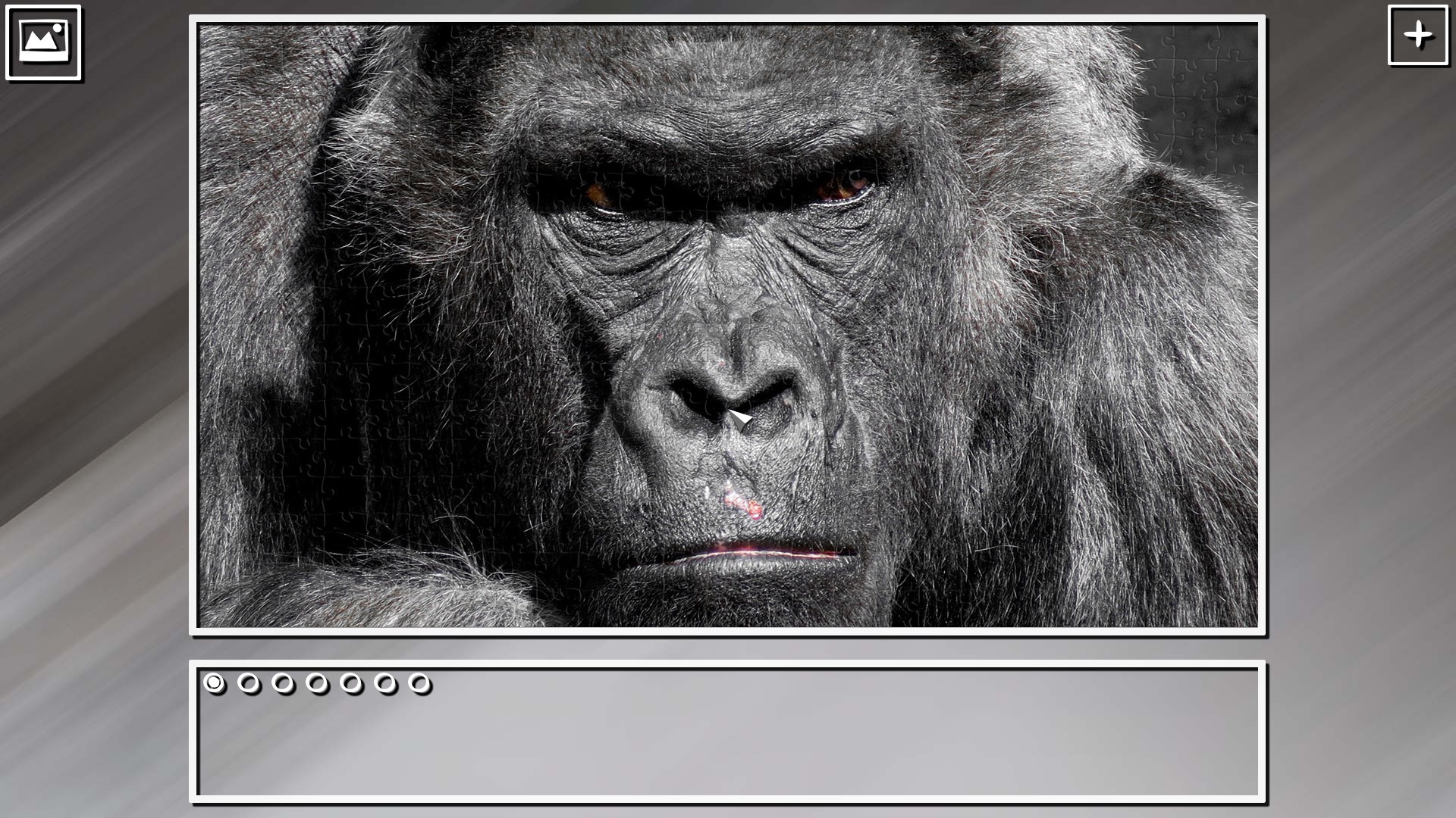 Super Jigsaw Puzzle: Generations – Monkeys &amp; Apes Puzzles