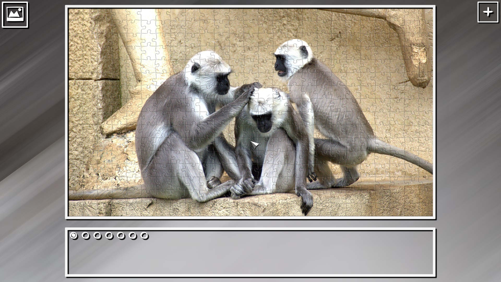 Super Jigsaw Puzzle: Generations – Monkeys &amp; Apes Puzzles