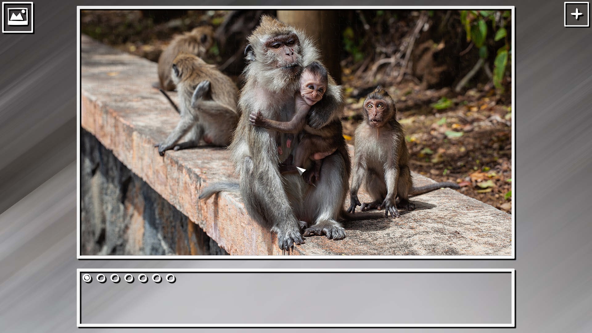Super Jigsaw Puzzle: Generations – Monkeys &amp; Apes Puzzles