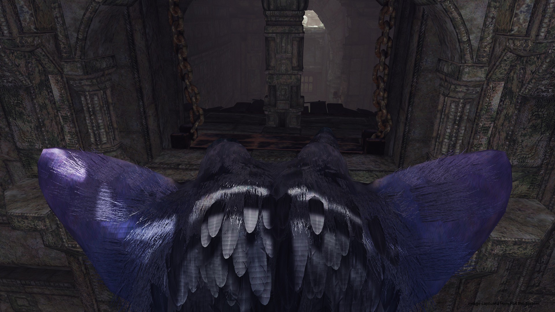 The Last Guardian VR