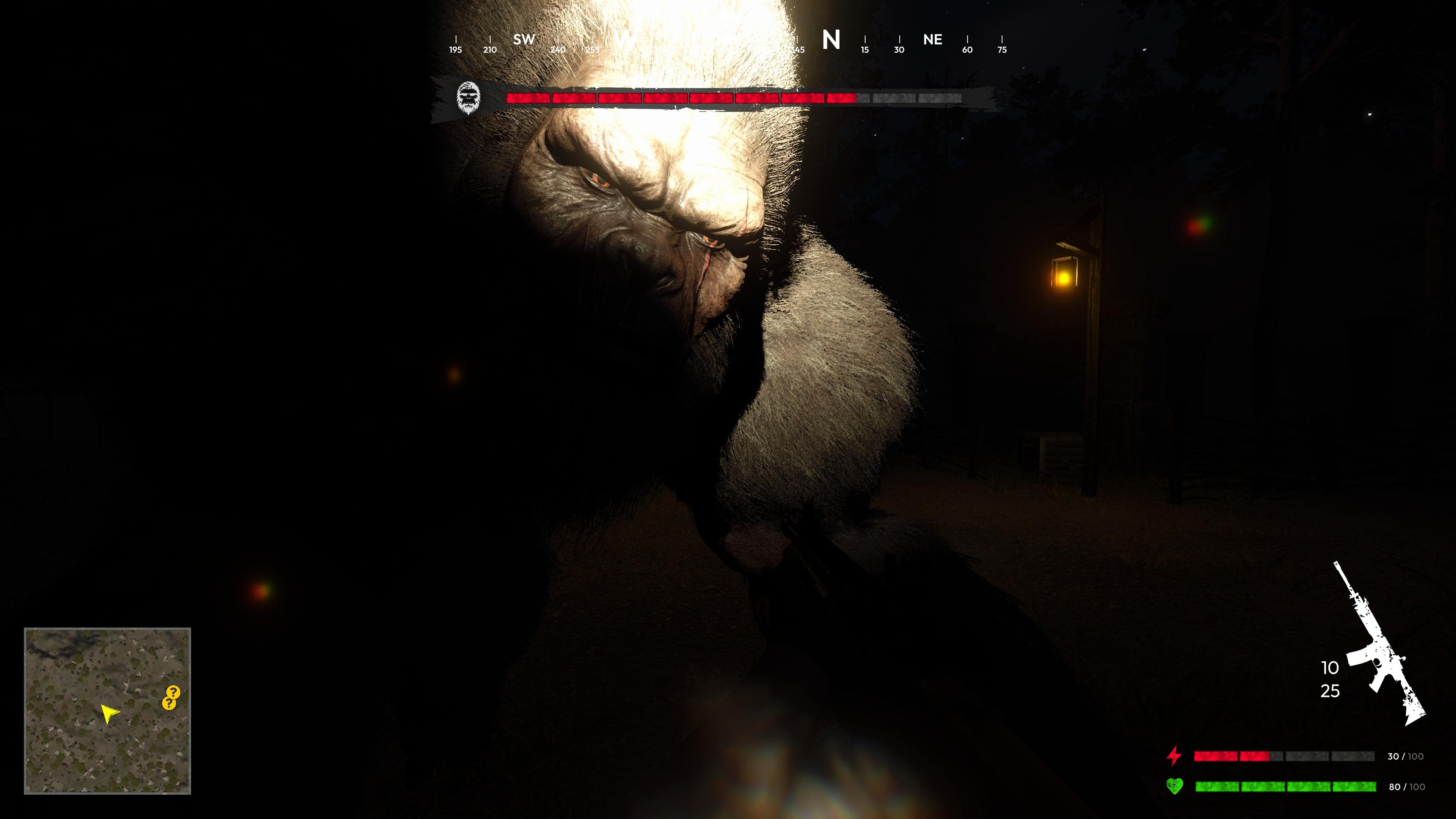 Bigfoot Hunting